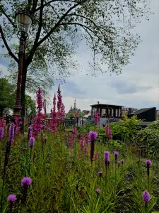 Christy 03 Weesperzijde